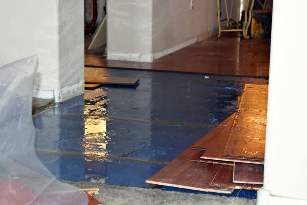 Professional Sewage Cleanup technician working in Bloomington, TX